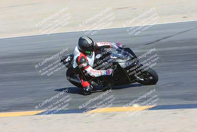 media/Feb-03-2024-SoCal Trackdays (Sat) [[767c60a41c]]/10-Turn 10 Inside (130pm)/